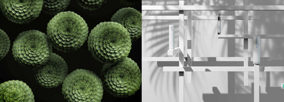 NEODERMA Netherlands Cover Image
