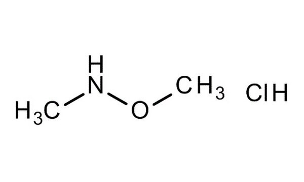 N-ODimethylhydroxylamine HCL Profile Picture