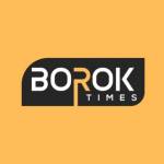 Borok Times Profile Picture