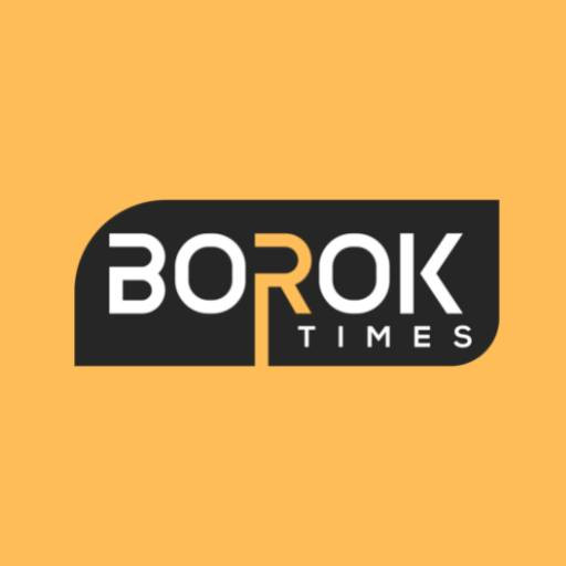 Borok Times Profile Picture